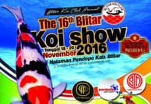 Blitar Koi Show