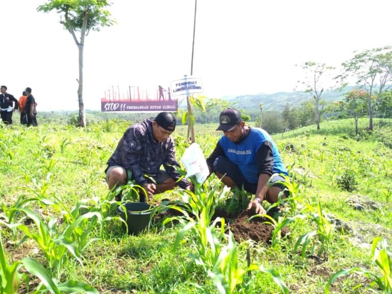 Penanaman di Pantai Serang
