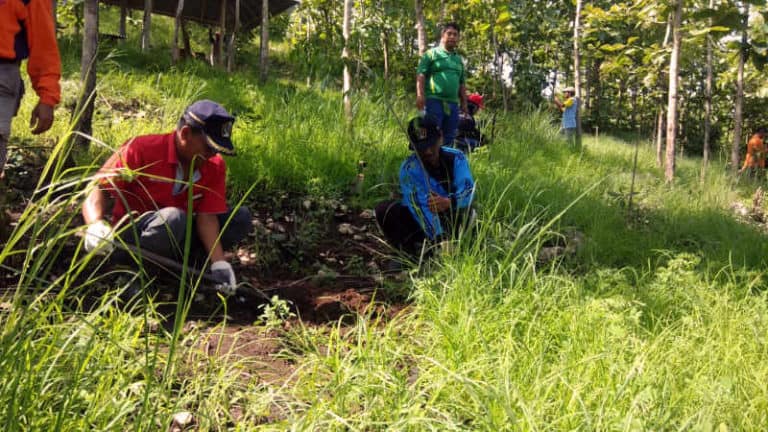 Hutan Asuh Guru MGMP
