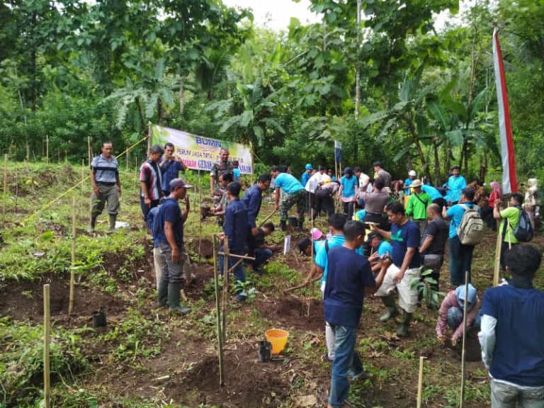 Penanaman di Sukoanyar Kesamben
