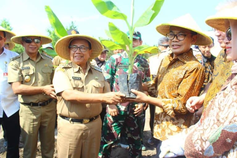 Penyerahan bibit pisang cavendish secara simbolis. Foto dari Pemkab Blitar