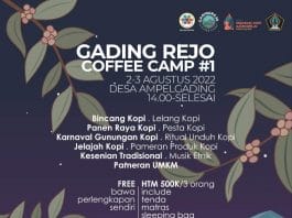Gadingrejo Coffee Camp