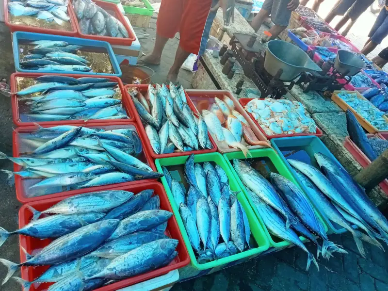 Belanja ikan laut di Pantai Tambakrejo - Foto Anton H