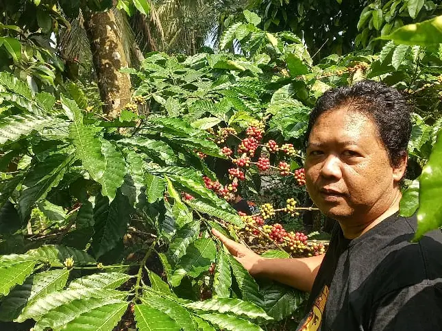 Kopi Robusta Blitar